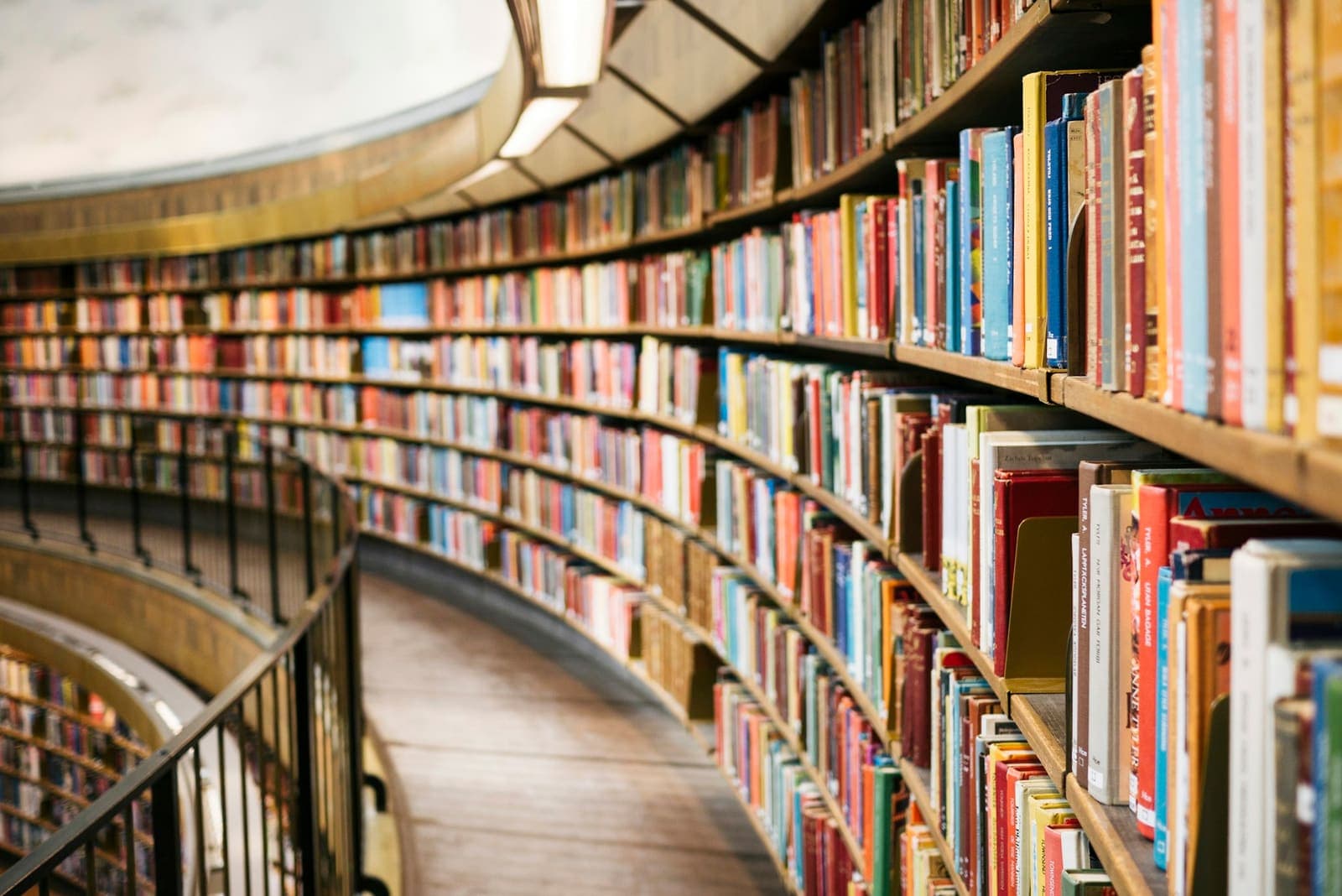 Police sa knjigama u biblioteci, izvori literature za seminarski rad